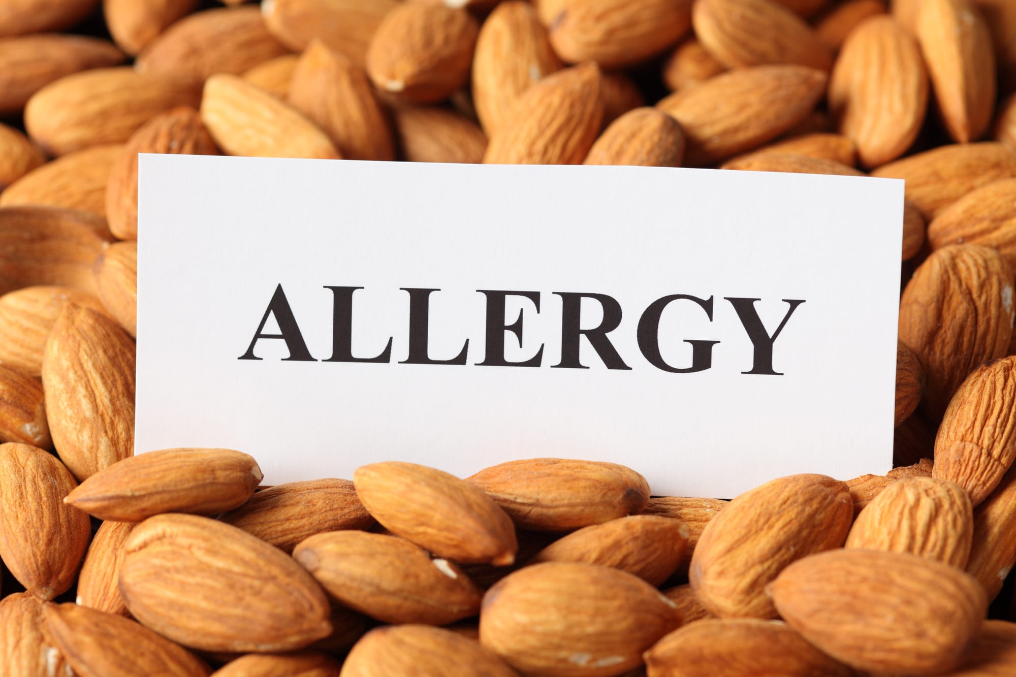 pile of almonds with sign reading "allergy"